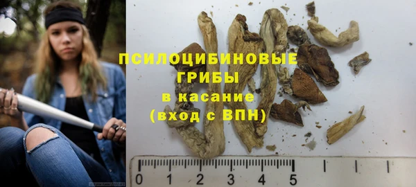 2c-b Касимов