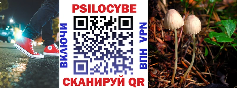 Галлюциногенные грибы мицелий  Купить  Минусинск 